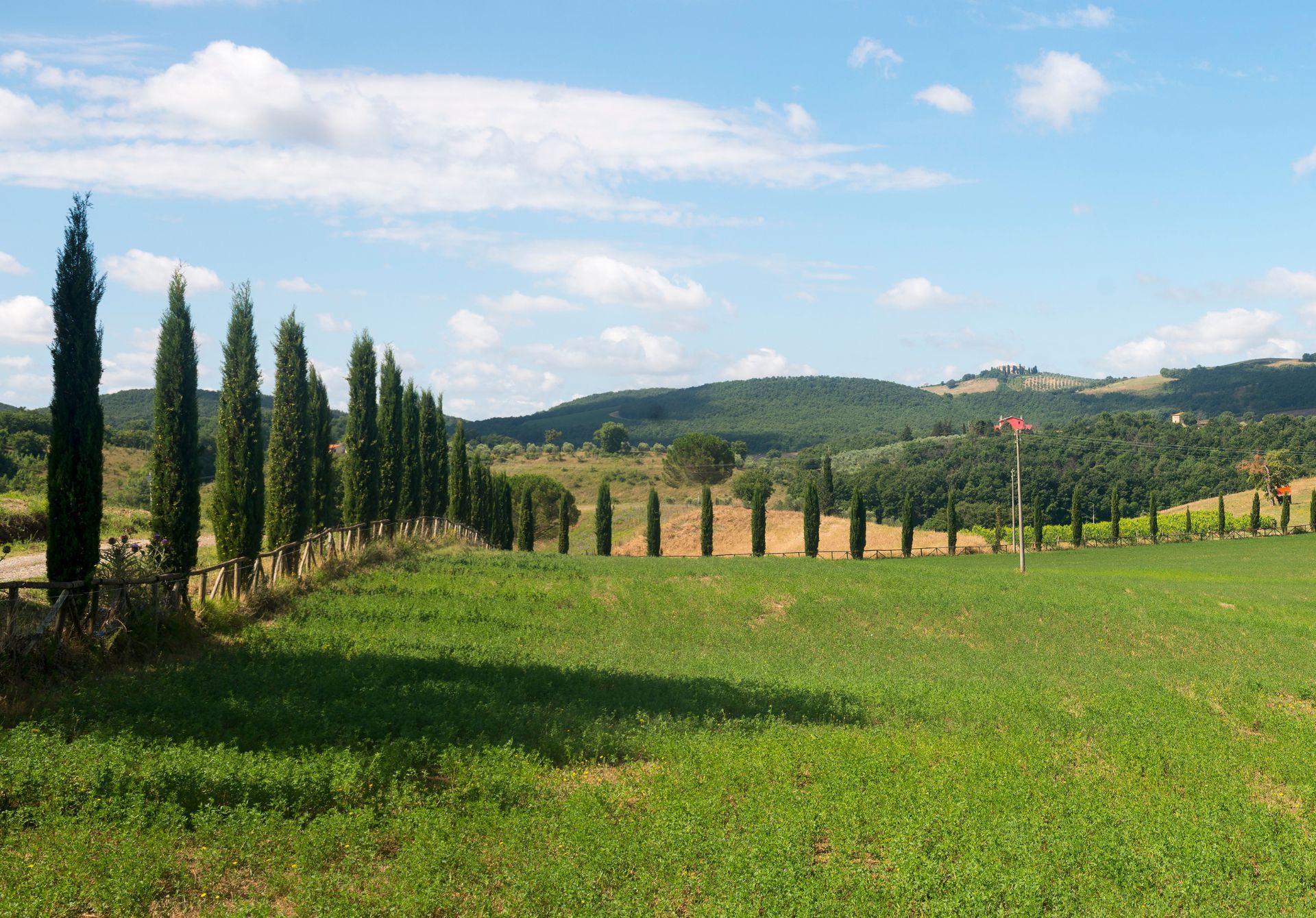 Maremma