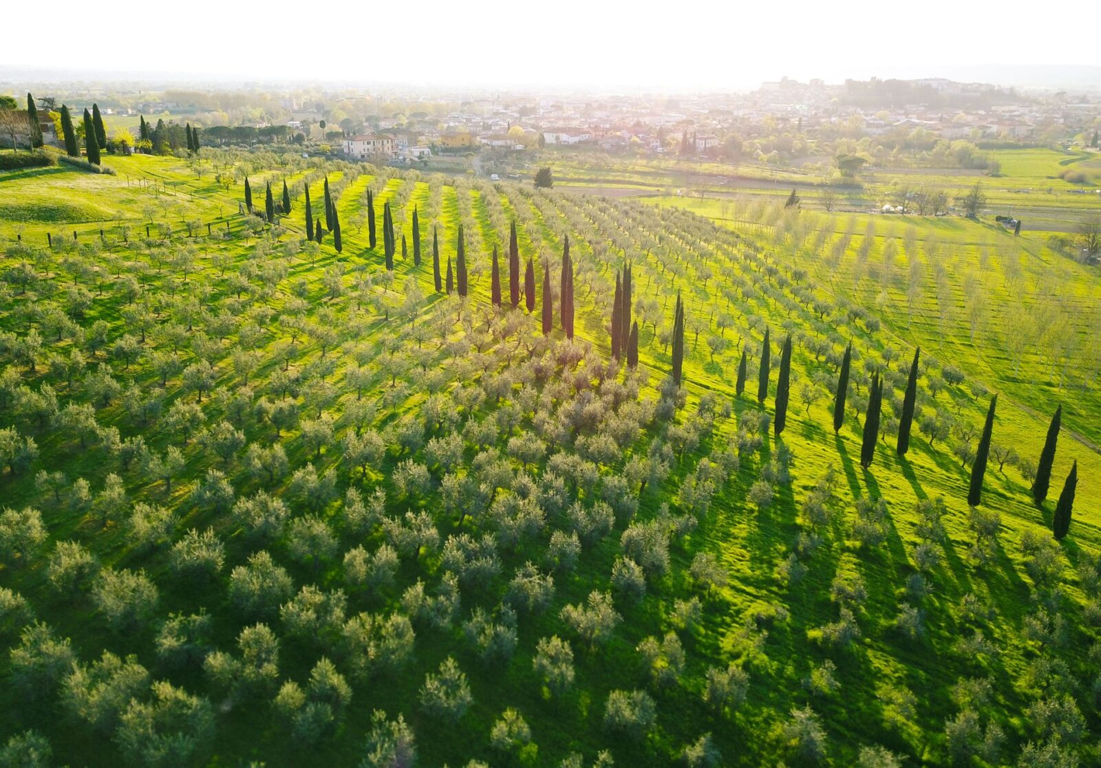 Val d'Orcia